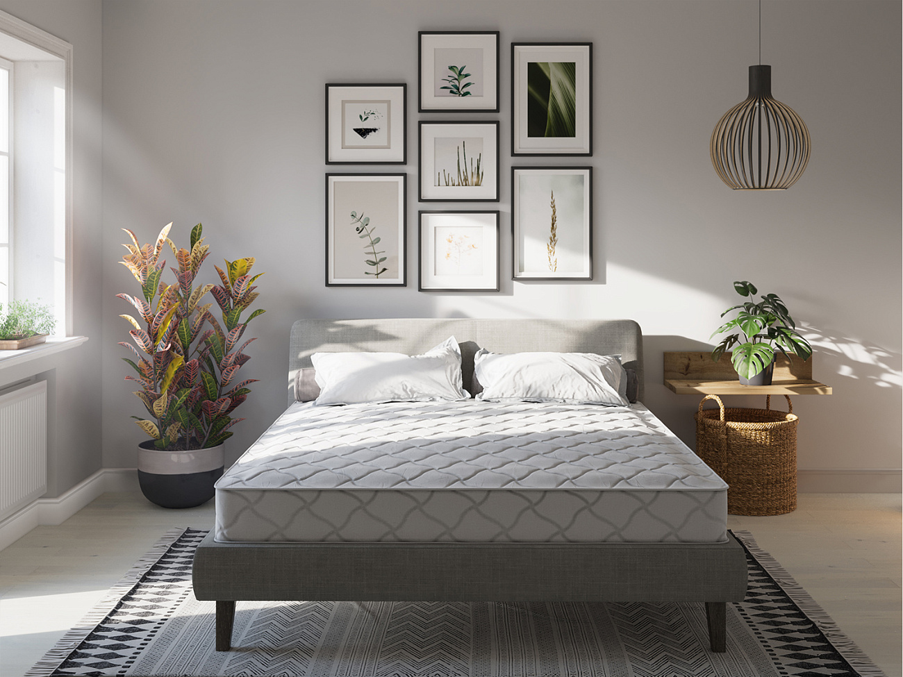 Evita Беспружинные New Zone фото 4